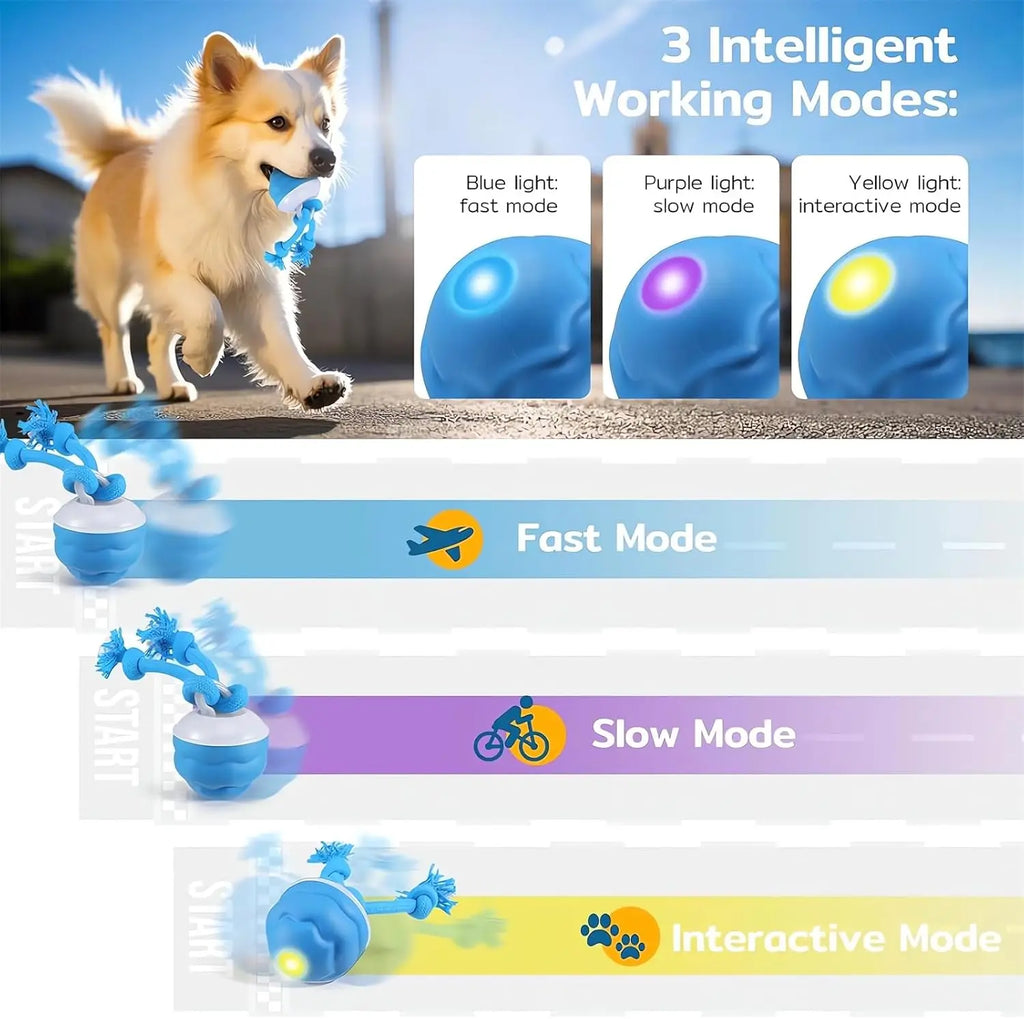 The Chase Buddy Dog Boredom Stimulating Toy Smart Pet Puppy Ball with Ropes Interactive Moving Dogs Balls Electric Rolling Ball