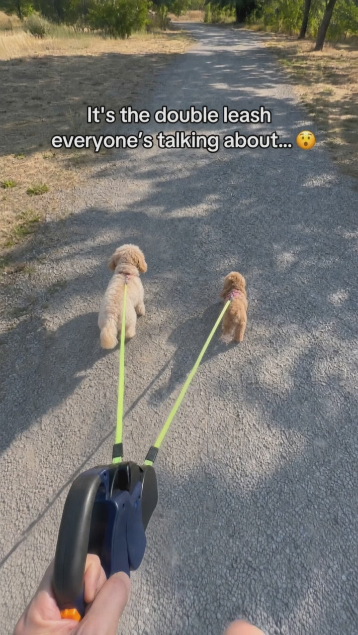 Retractable Dual Dog Leash with LED Light 360 Swivel No Tangle Independent Braking 3M Reflective Leads for Dogs